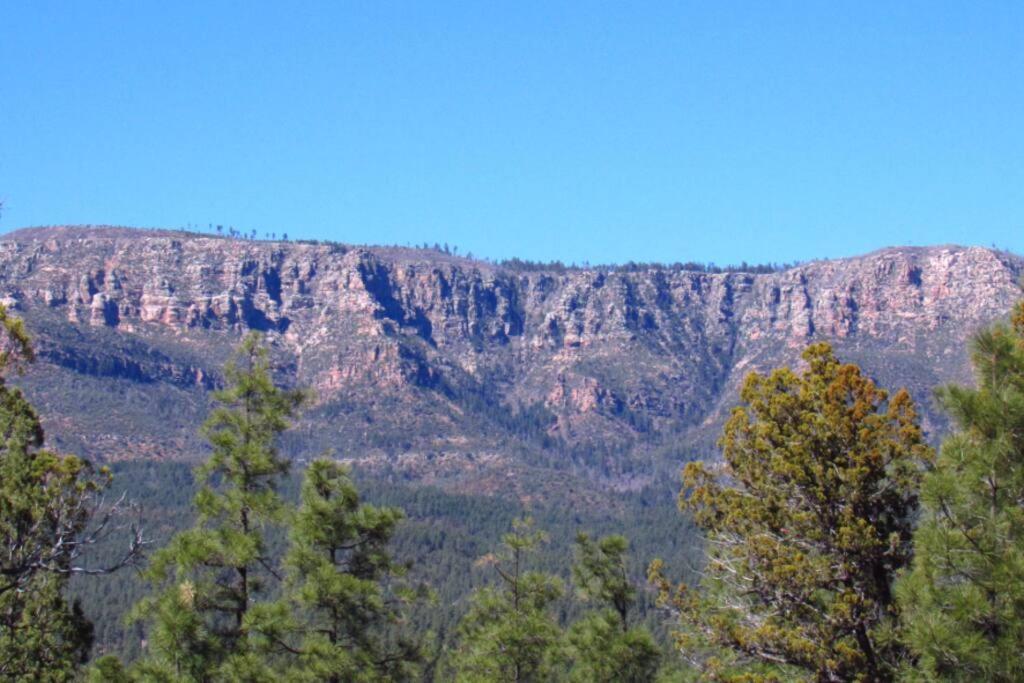 Forest Cabin 2 Birds Nest Payson Εξωτερικό φωτογραφία