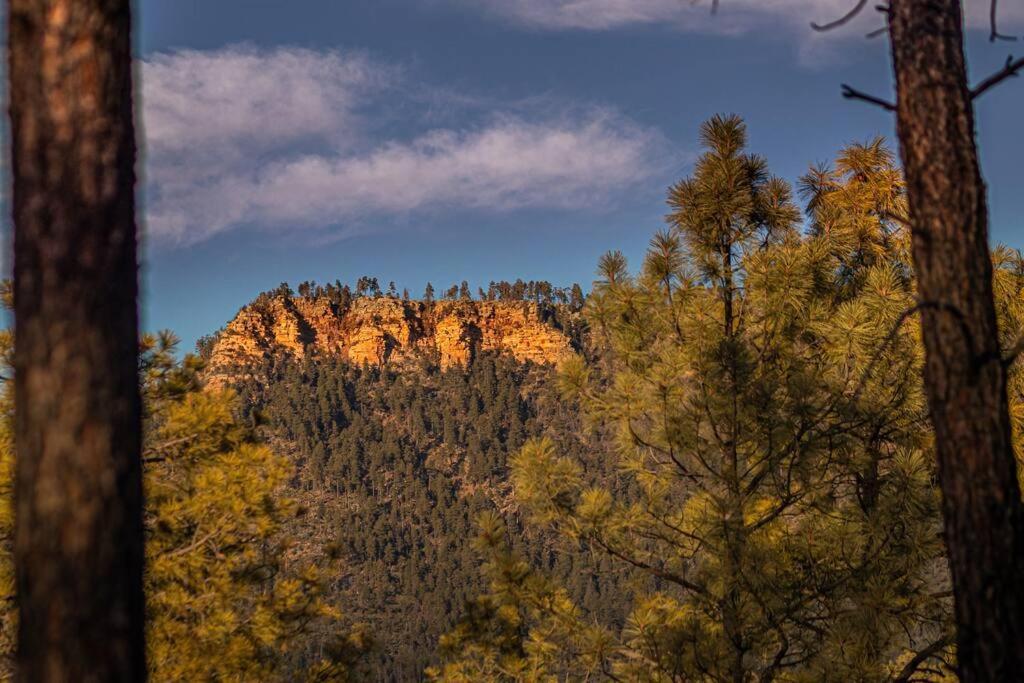 Forest Cabin 2 Birds Nest Payson Εξωτερικό φωτογραφία