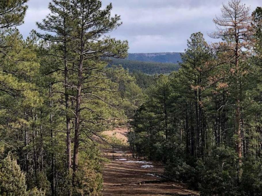 Forest Cabin 2 Birds Nest Payson Εξωτερικό φωτογραφία
